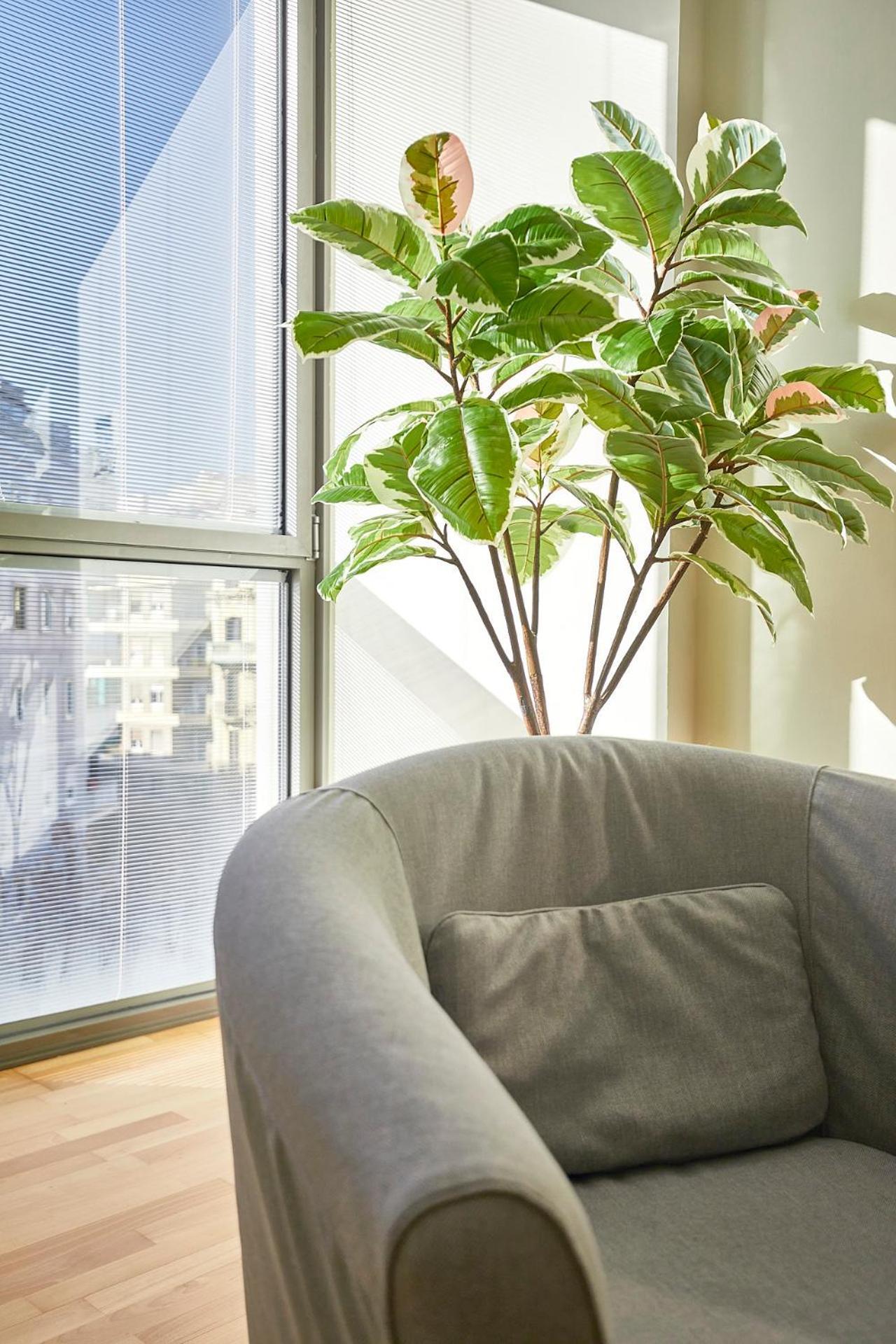 Bbarcelona Placa Universitat Flat Экстерьер фото